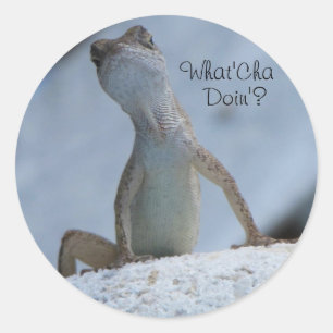 Was ist Cha Doin? Brown Anole Lizard Sticker