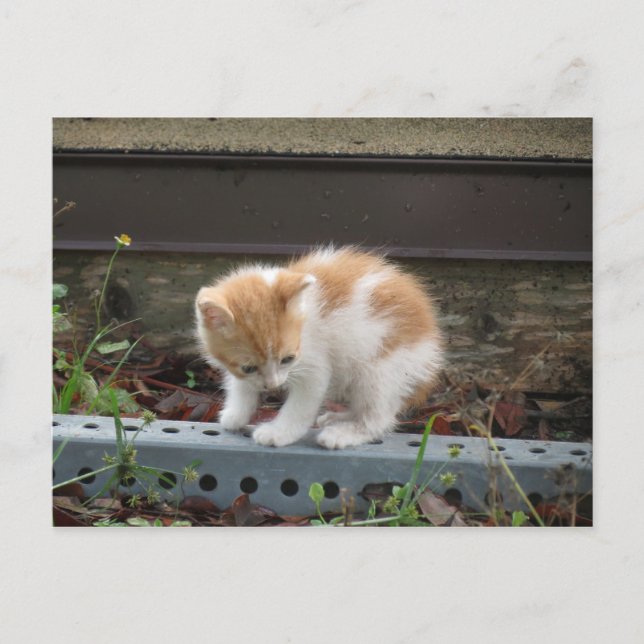 "Was ist da unten?" Postkarte (Vorderseite)