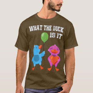 Was ist das für eine Ente? Das Geschlechteroffenba T-Shirt