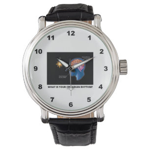 Was ist dein Circadianrhythmus? Armbanduhr
