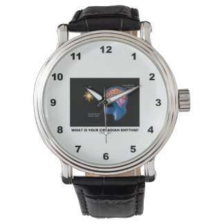 Was ist dein Circadianrhythmus? Armbanduhr