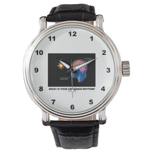 Was ist dein Circadianrhythmus? Armbanduhr (Vorderseite)