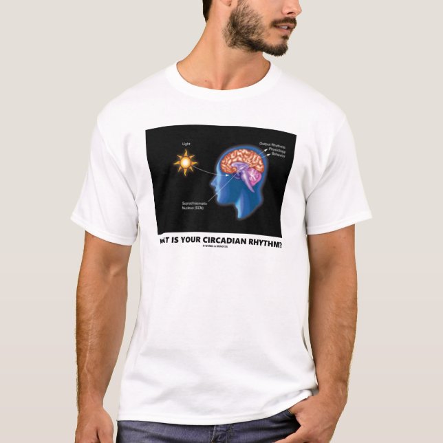 Was ist dein Circadianrhythmus? T-Shirt (Vorderseite)