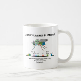 Was ist dein Lebenskonzept? (Genausdruck) Tasse