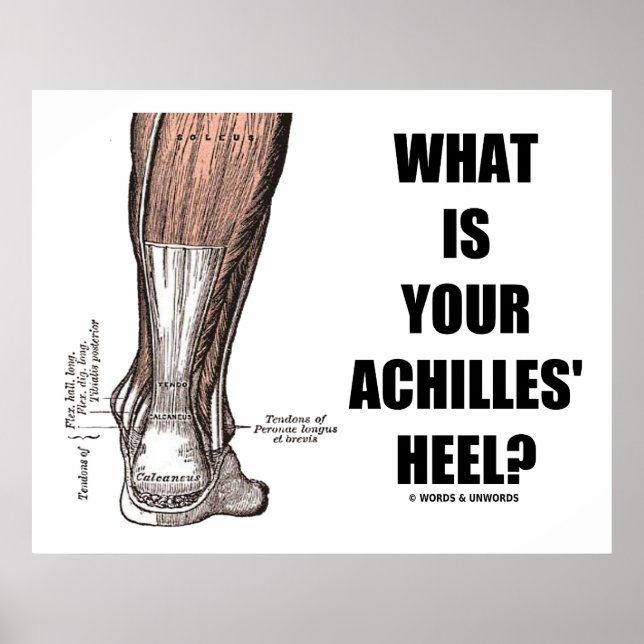 Was ist deine Achillesferse? (Heel Anatomy) Poster (Vorne)