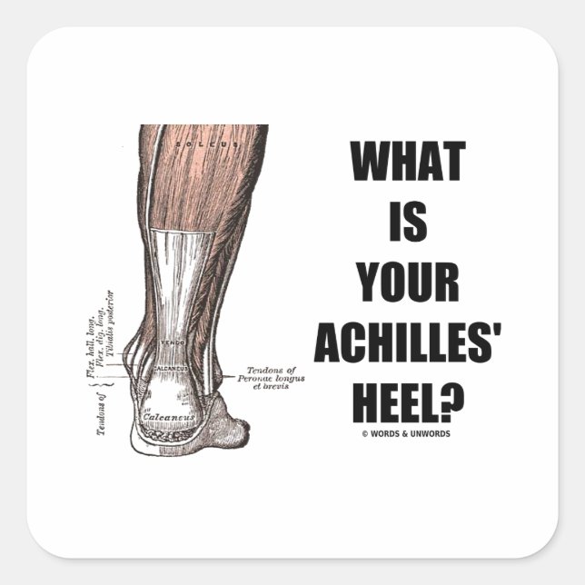 Was ist deine Achillesferse? (Heel Anatomy) Quadratischer Aufkleber (Vorderseite)