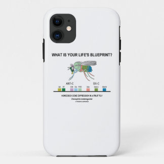 Was ist der Plan Ihres Lebens? (Genexpression) iPhone 11 Hülle