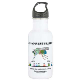 Was ist der Plan Ihres Lebens? (Genexpression) Trinkflasche