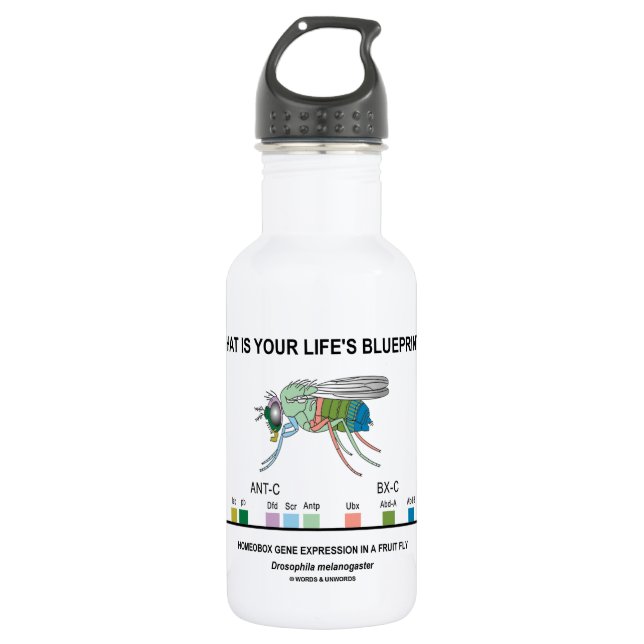 Was ist der Plan Ihres Lebens? (Genexpression) Trinkflasche (Vorderseite)