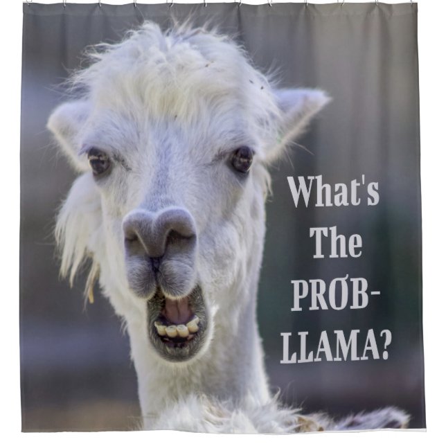 Was ist der Prob- Llama? Niedlich Funny LLAMA Duschvorhang (Vorderseite)