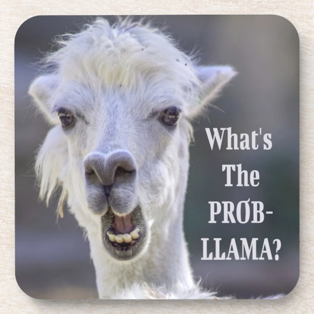 Was ist der Prob- Llama? Niedlich Funny LLAMA Getränkeuntersetzer (Vorderseite)