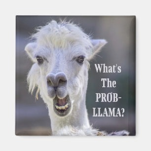 Was ist der Prob- Llama? Niedlich Funny LLAMA Magnet