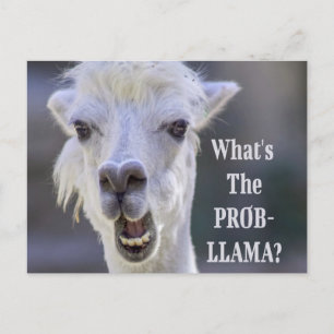 Was ist der Prob- Llama? Niedlich Funny LLAMA Postkarte