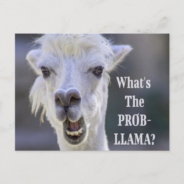 Was ist der Prob- Llama? Niedlich Funny LLAMA Postkarte (Vorderseite)