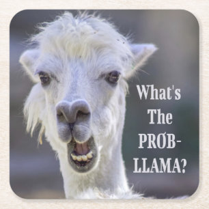 Was ist der Prob- Llama? Niedlich Funny LLAMA Rechteckiger Pappuntersetzer