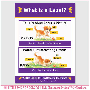 Was ist eine Beschriftung Classroom Anchor Chart Poster