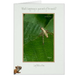 "Was ist Ereignis in deinem Neck des Waldes?