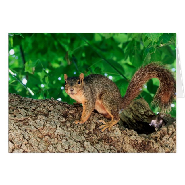 Was ist? (farbe) (Vorderseite (Horizontal))