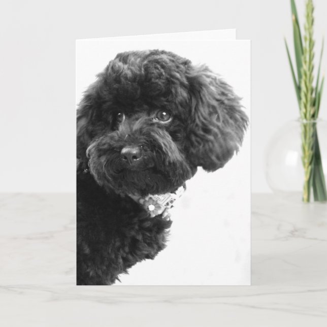 Was ist? feiertagskarte (Vorderseite)