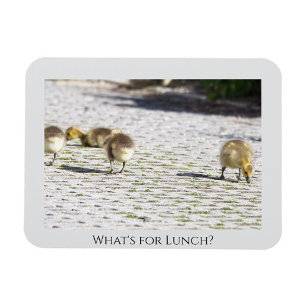 Was ist für das Mittagessen? Magnet