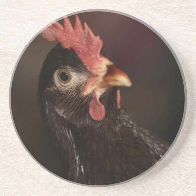 Was ist? getränkeuntersetzer (Vorne)