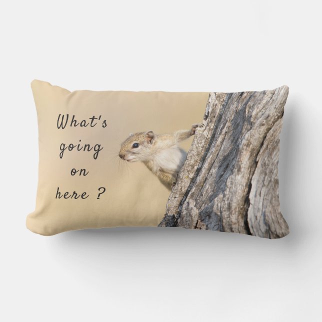 Was ist hier los mit Eichhörnchen-Foto? Kissen Für Draußen (Vorderseite)