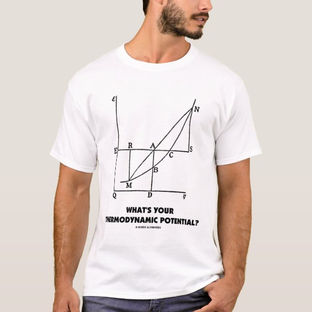 Was ist Ihr thermodynamisches Potenzial? T-Shirt (Vorderseite)