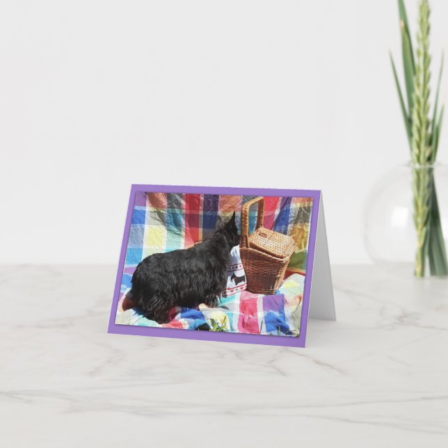 Was ist im Warenkorb? (Vorderseite)