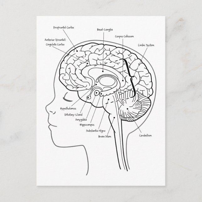 Was ist in deinem Gehirn? Postkarte (Vorderseite)
