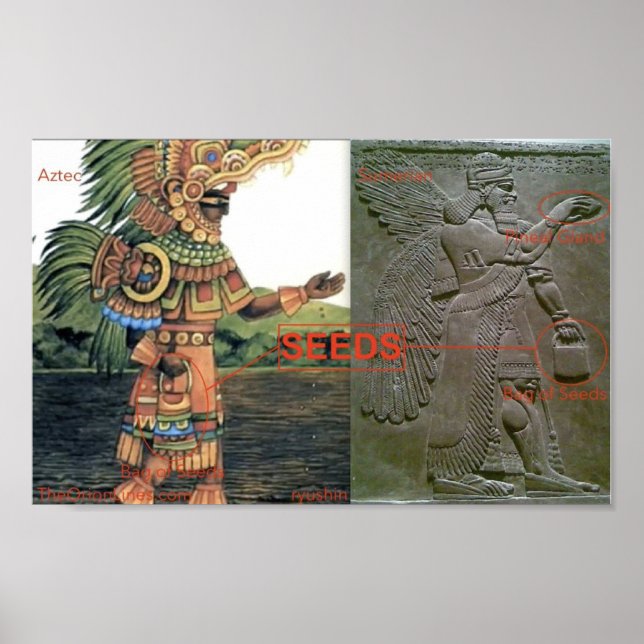 Was ist in den Samen in der Tasche? Poster (Vorne)