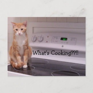 Was ist Kochen?!! Postkarte