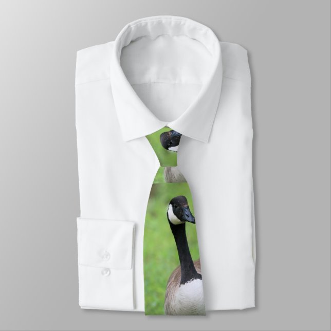 Was ist? krawatte (Gebunden)