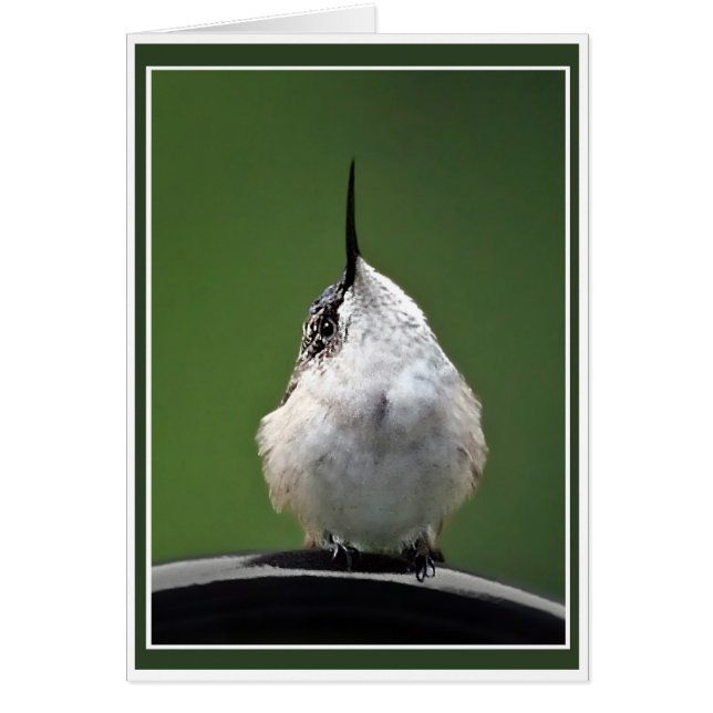 Was ist los? (Vorne)