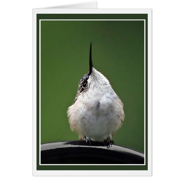 Was ist los? (Vorne)