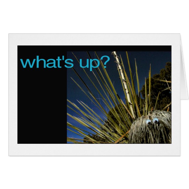 Was ist los? (Vorderseite (Horizontal))