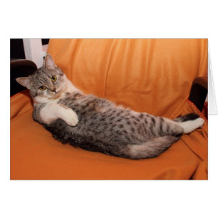 Was ist los? Abendessen fertig?