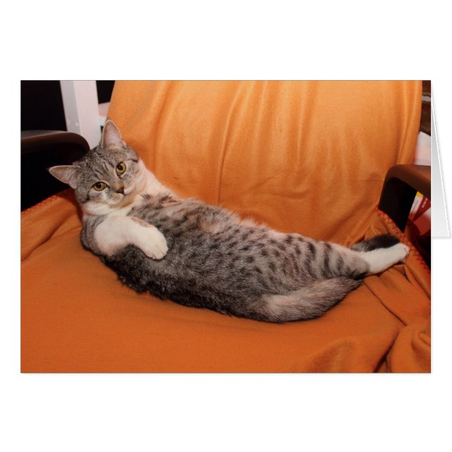 Was ist los? Abendessen fertig? (Vorderseite (Horizontal))