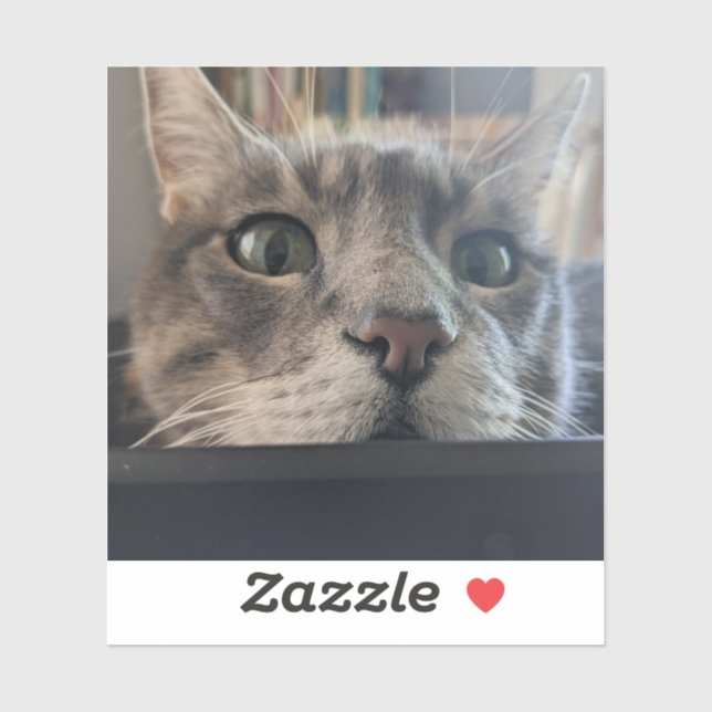 Was ist los, Cat? 3" Vinyl Sticker (Blatt)