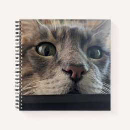 Was ist los, Cat? Square Spiral Notebook Notizbuch