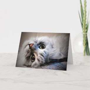 Was ist los? Denken Sie an Ihre Karte