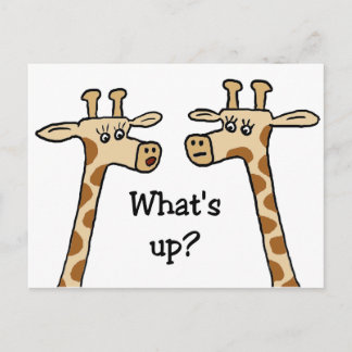Was ist los? Giraffenkarten Postkarte