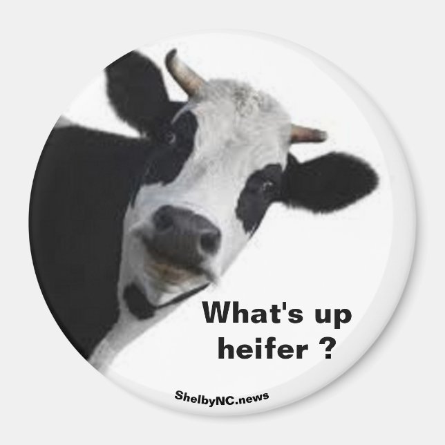 Was ist los? magnet (Vorne)