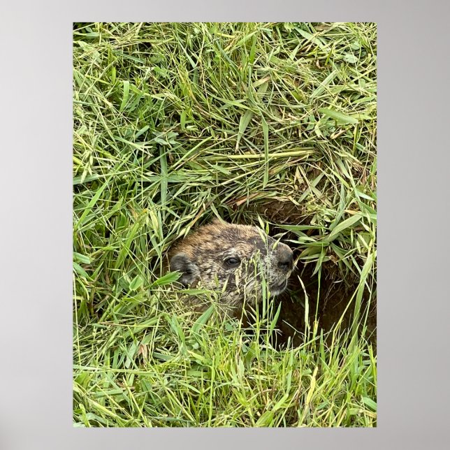 Was ist los? poster (Vorne)