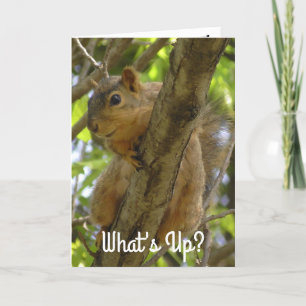 Was ist los, Ya Big Nut Funny Eichhörnchen Karte