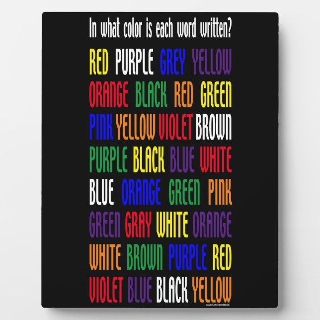 Was ist meine Farbe? Fotoplatte (Vorderseite)