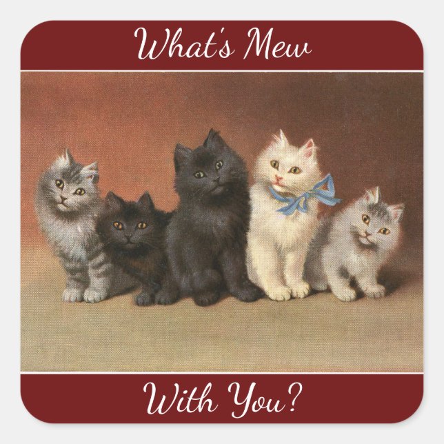 Was ist Mew Cats Aufkleber (Vorderseite)