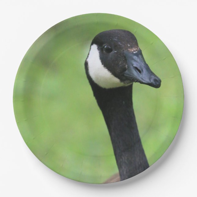 Was ist? pappteller (Vorderseite)