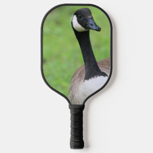 Was ist? pickleball schläger