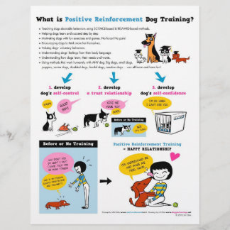 Was ist Pos Reinf? Hundeunterricht? FLYER
