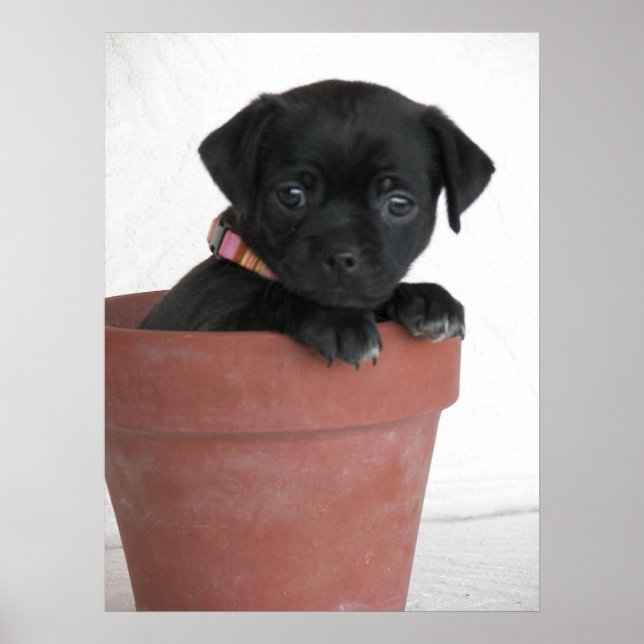 Was ist? poster (Vorne)